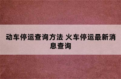 动车停运查询方法 火车停运最新消息查询